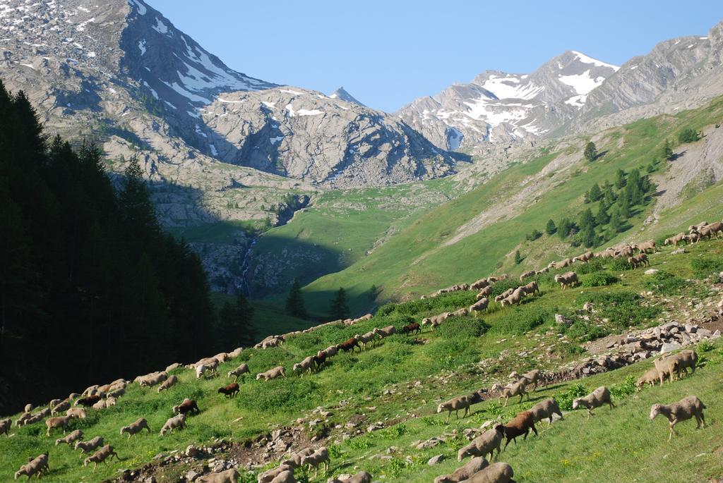 Le Clos Du Berger Le Sauze Extérieur photo